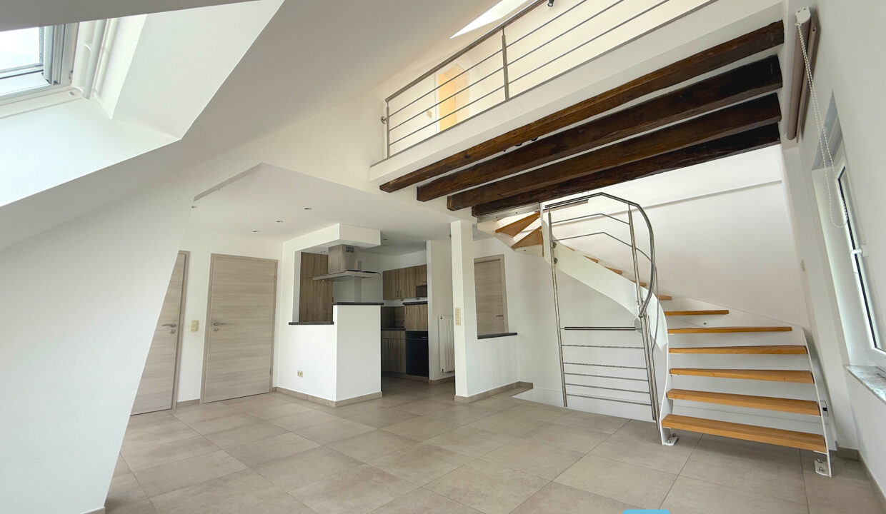 Design sans titre - 2025-06-10T172736.297